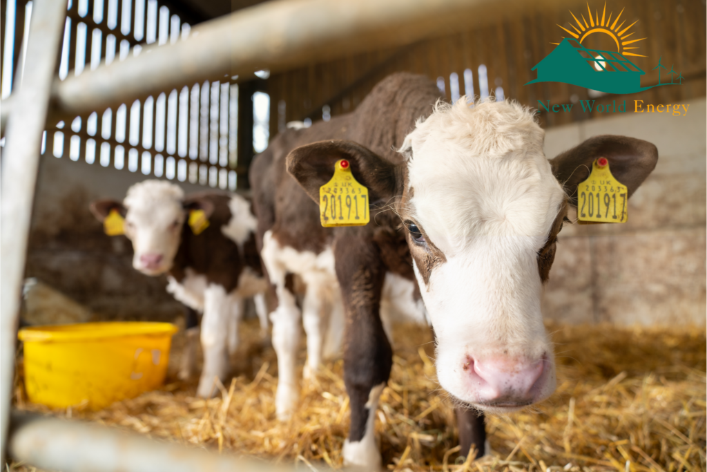 Harnessing Solar Energy on Farms